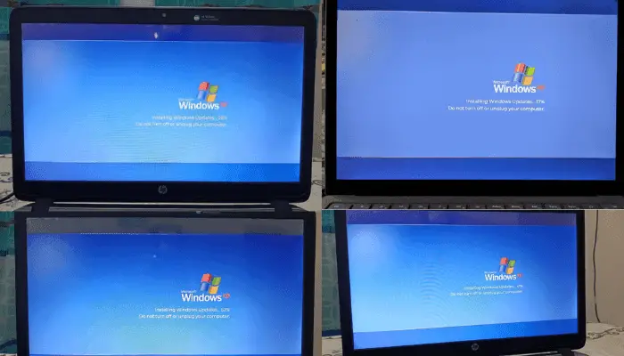 Windows XP Sahte Güncellemesiyle Ofis Öğle Yemeği Şakası